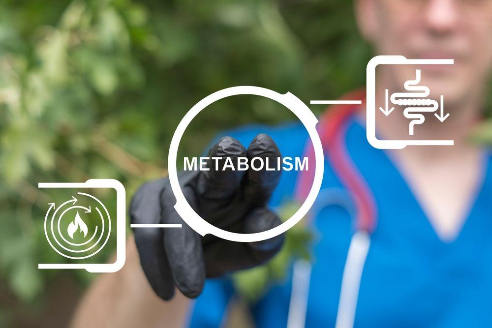 Bagaimana Perubahan Metabolisme Tubuh saat Puasa? Ini Cara Menjaganya