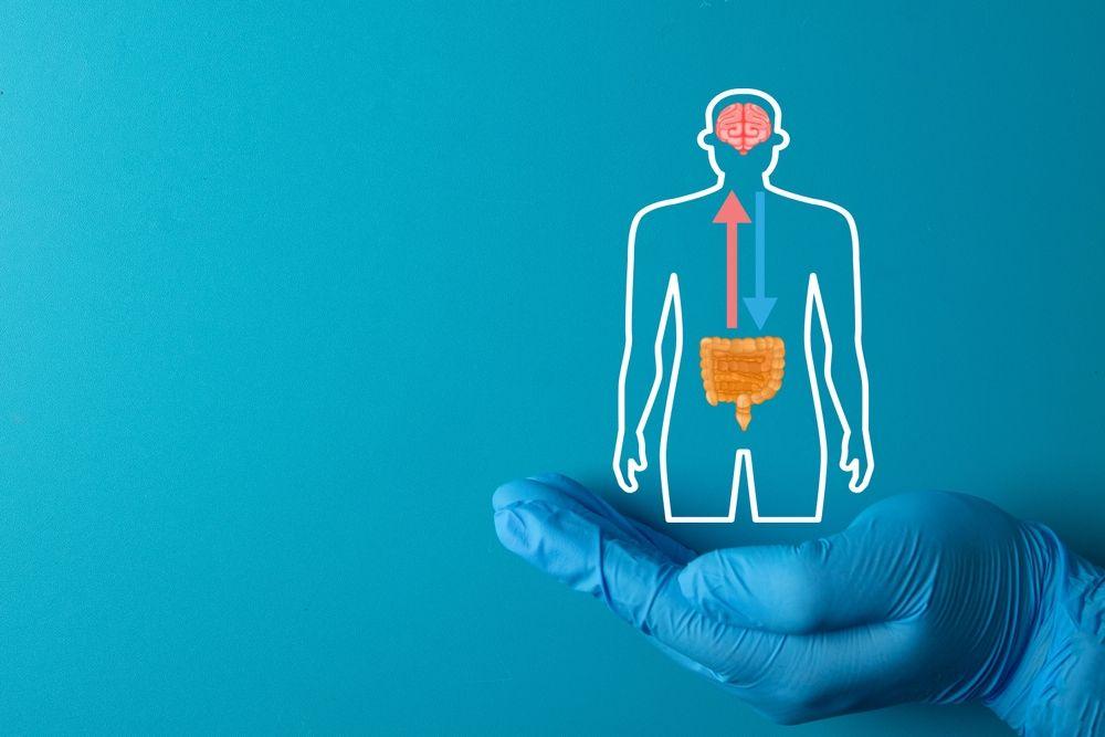 Gut Brain Axis: Fakta Hubungan Usus dan Otak yang Penting Dipahami